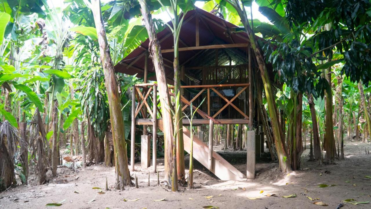 Albergue La Playita Guachaca Exterior foto