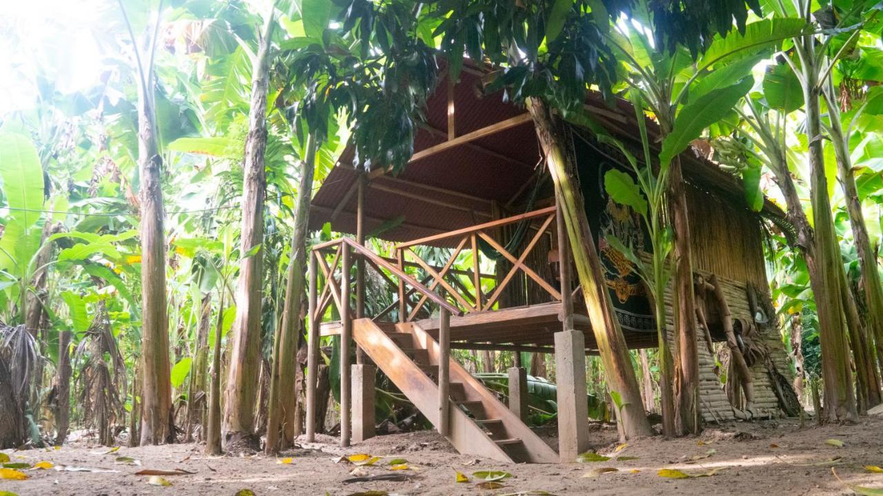 Albergue La Playita Guachaca Exterior foto