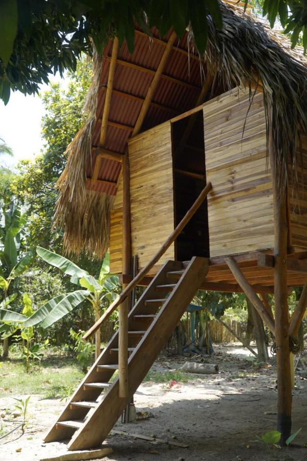 Albergue La Playita Guachaca Exterior foto