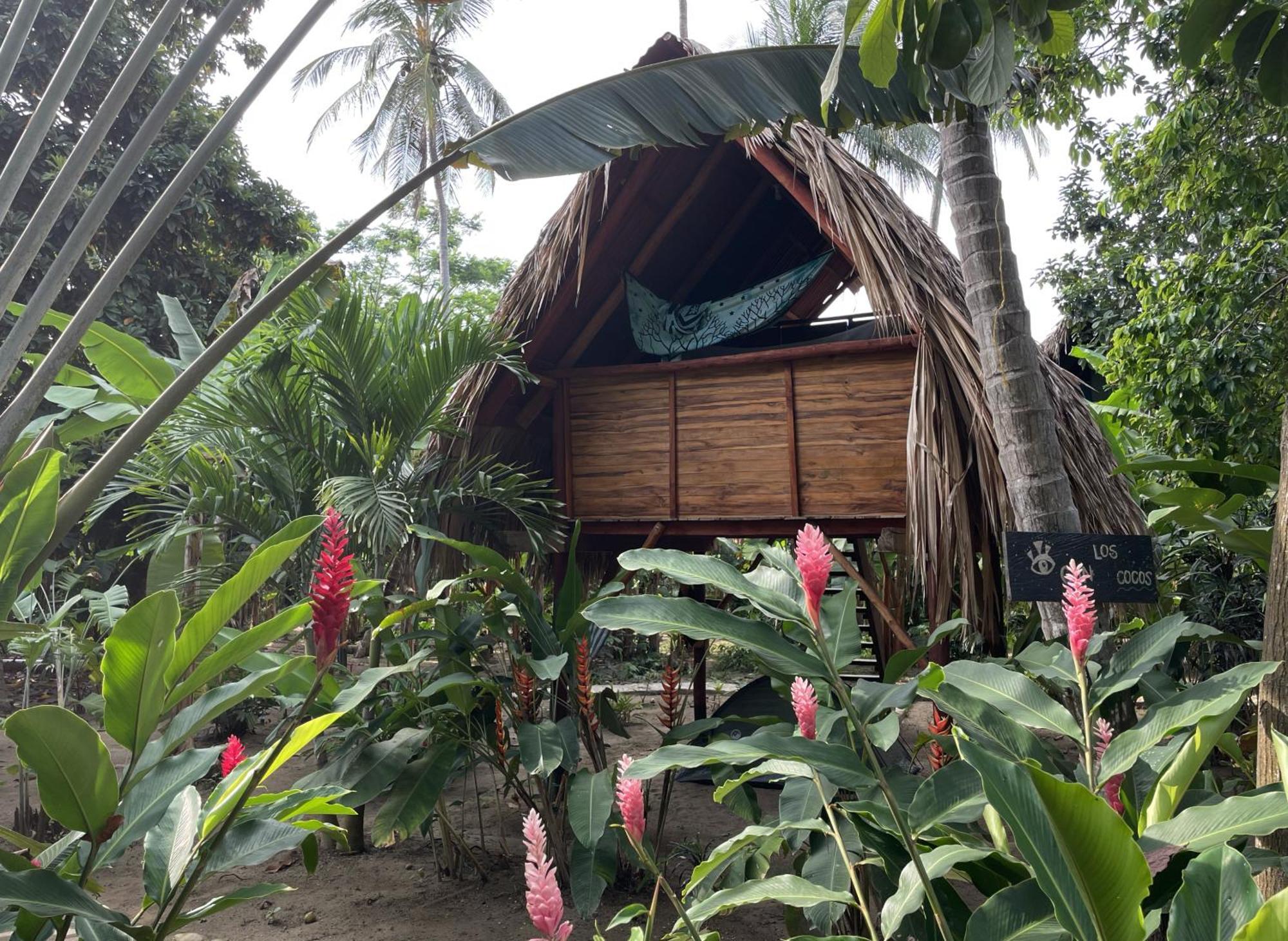 Albergue La Playita Guachaca Exterior foto