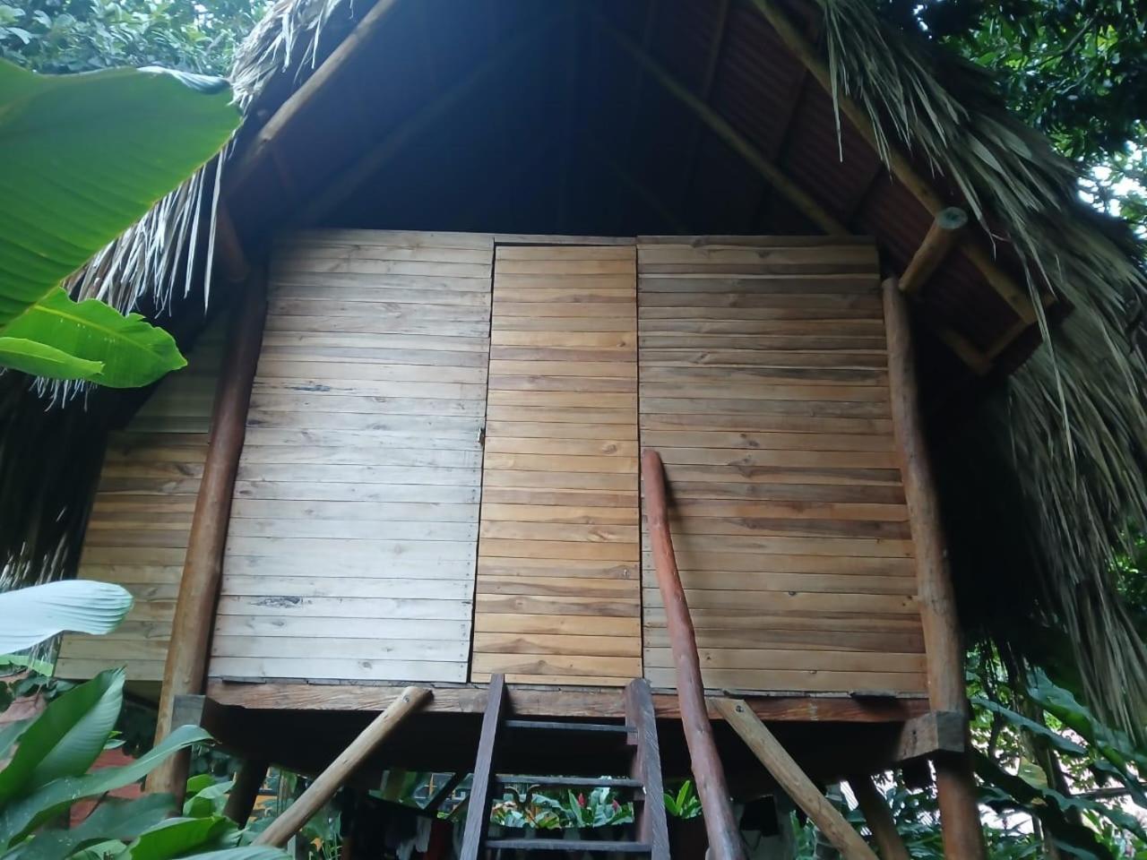 Albergue La Playita Guachaca Exterior foto